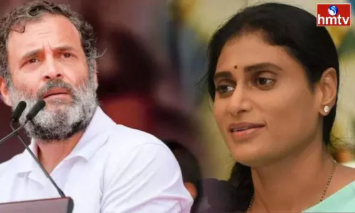Rahul Gandhi Pays Tribute To YSR Through Twitter
