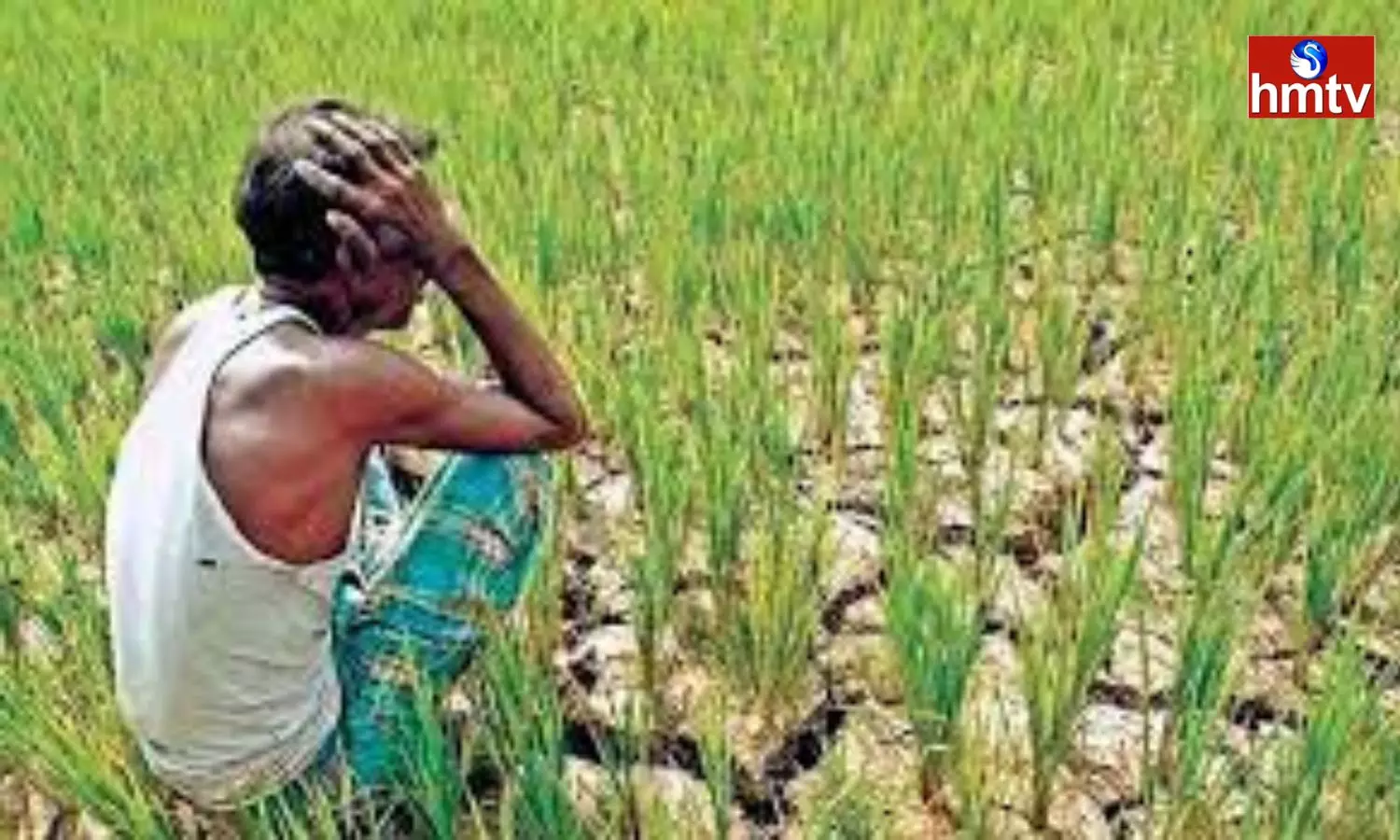 Even if the Government Change, the Farmers Problem will Not Changing