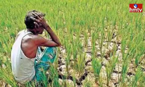 Even if the Government Change, the Farmers Problem will Not Changing