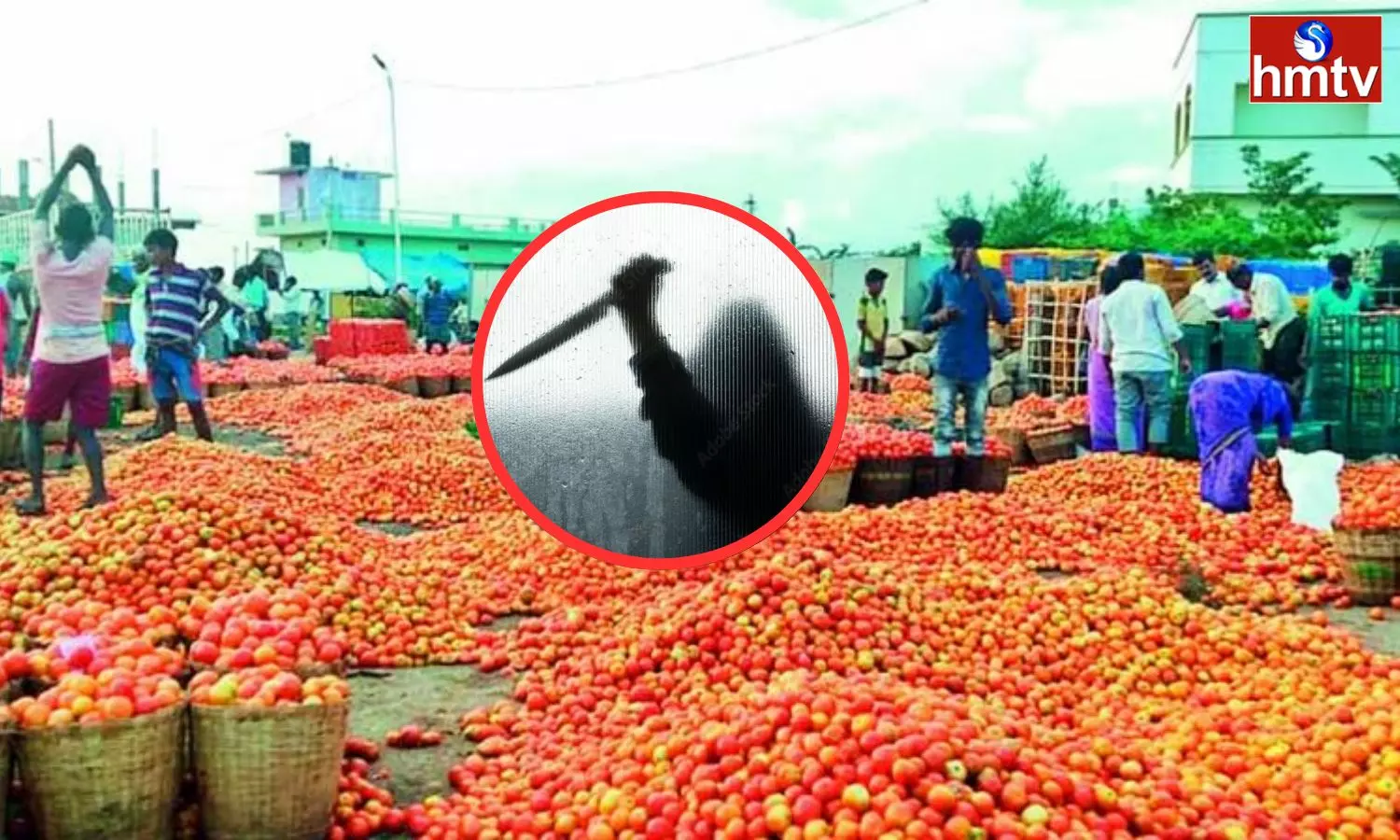 Murder For The Money Of Tomato Sale