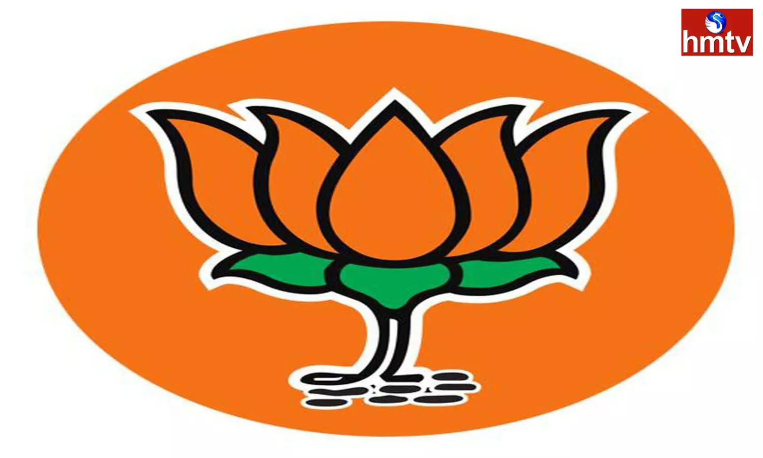 Hopes Of Telangana BJP Leaders On Union Cabinet