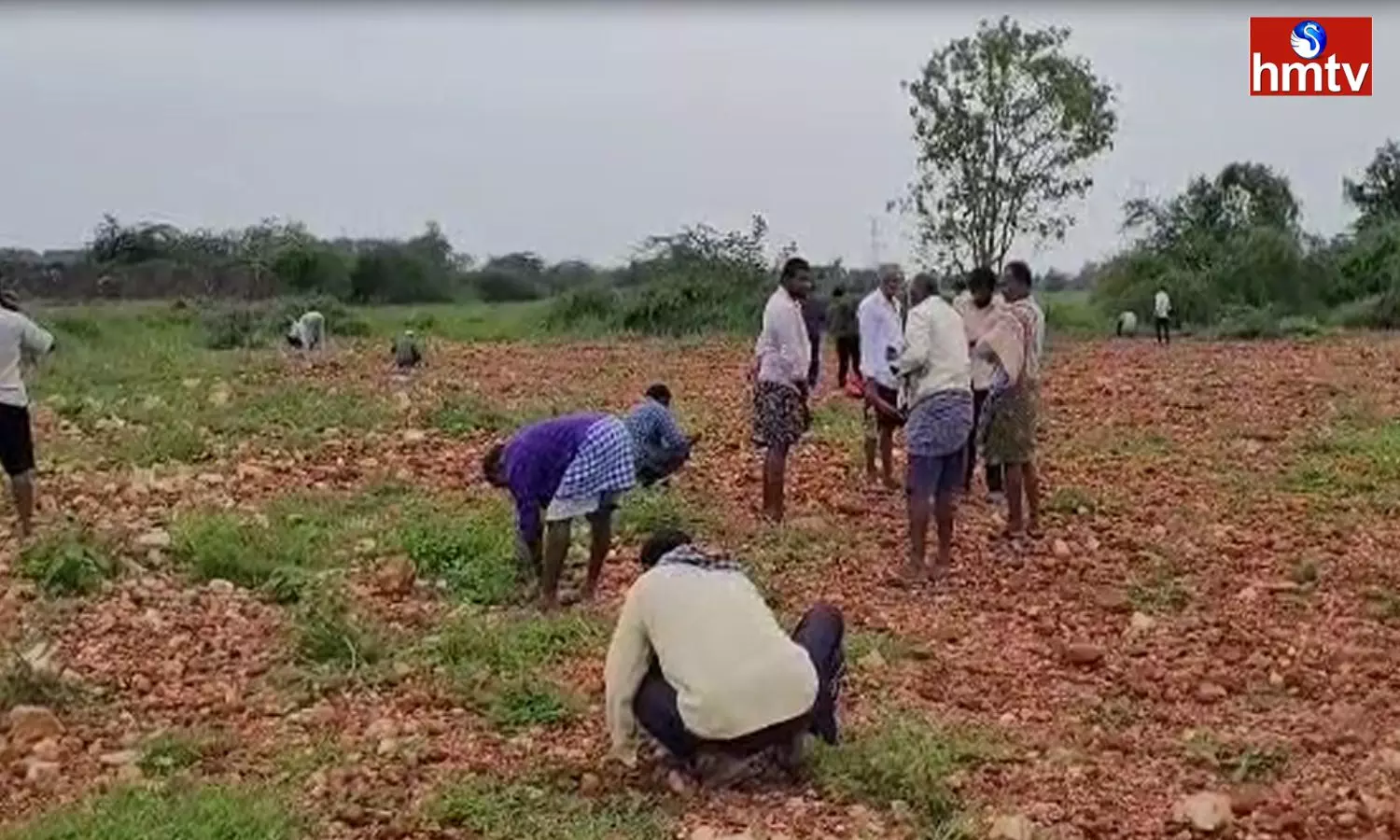 People Searching for Diamonds near Sattenapalle Palnadu District