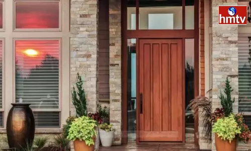 If You Hang The Root of This Plant on the Main Door it is Fine to Attract Money and Become Rich If You Hang The Root of This Plant on the Main Door it is Fine to Attract Money and Become Rich