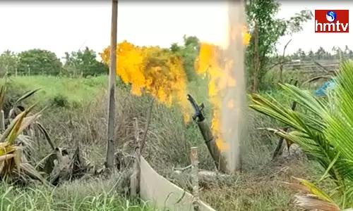 Gas leak at Aqua Pond in Sivakodu Konaseema District