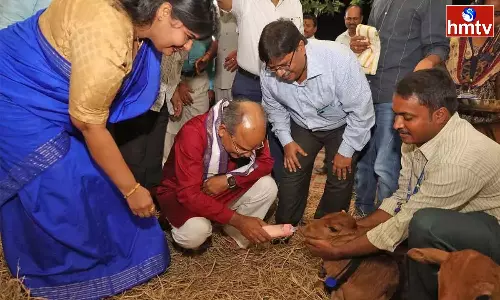 Use Surrogacy To Produce More Healthy Cows CS Dr K S Jawahar Reddy Use Surrogacy To Produce More Healthy Cows CS Dr K S Jawahar Reddy