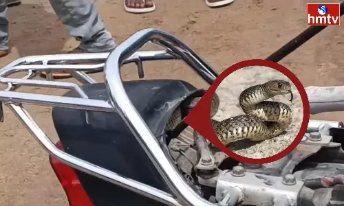 Snake In The Bike In Nizamabad Snake In The Bike In Nizamabad