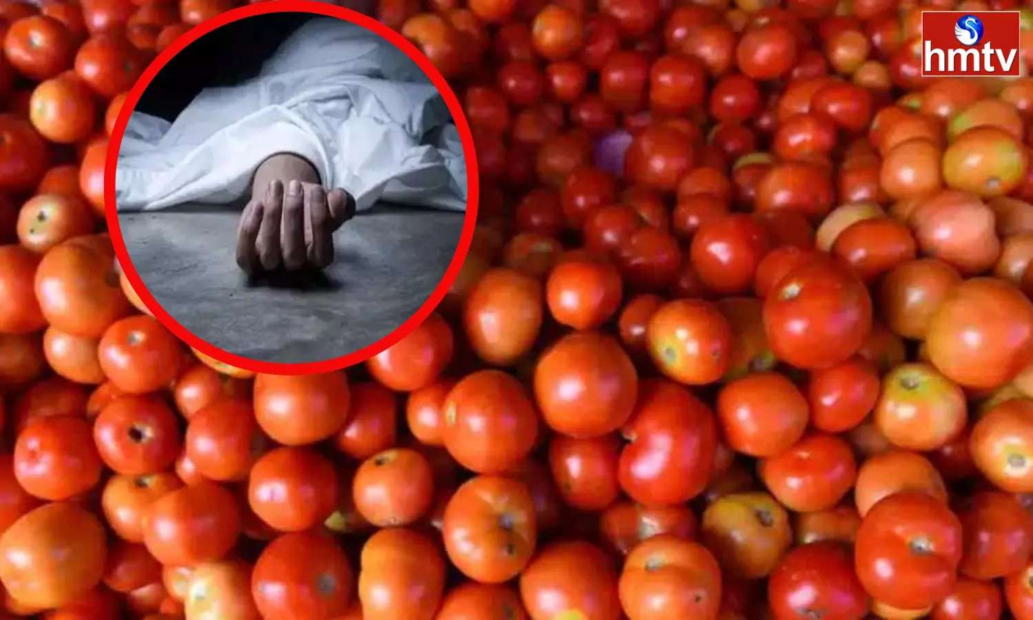 Tomato Farmer Murder In Annamayya District