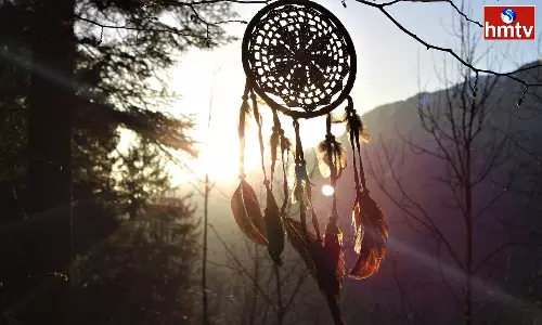 Do you see these 6 Auspicious Things in your Dream Signs of Good Luck