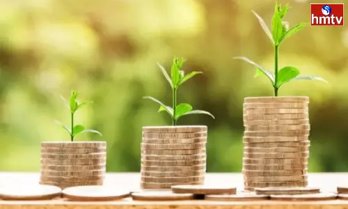 From PPF to Recurring Deposit Which Scheme Offers Higher Returns Check Here From PPF to Recurring Deposit Which Scheme Offers Higher Returns Check Here