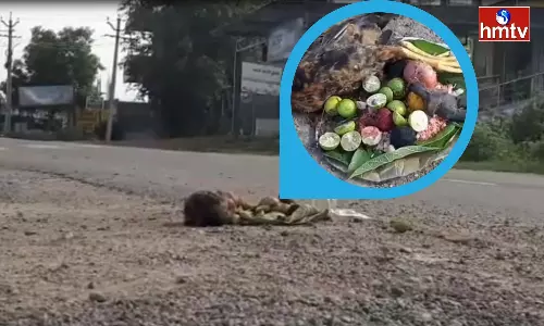 Occult Signs On The Roads Every Sunday And Thursday