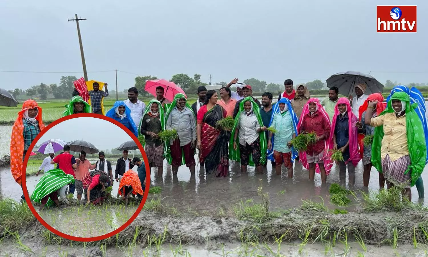 Padma Devender Reddy Went To The Farm With Women Farmers And Planted Rice