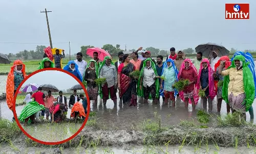 Padma Devender Reddy Went To The Farm With Women Farmers And Planted Rice