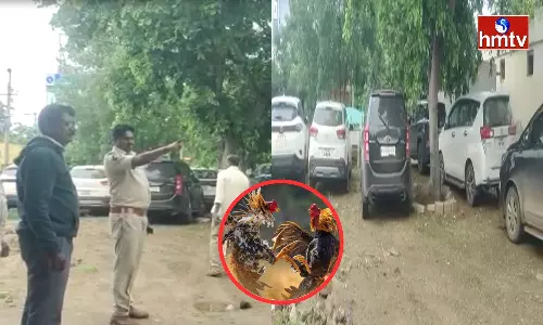 Police Raid On Poker And Cock Fighting Camps