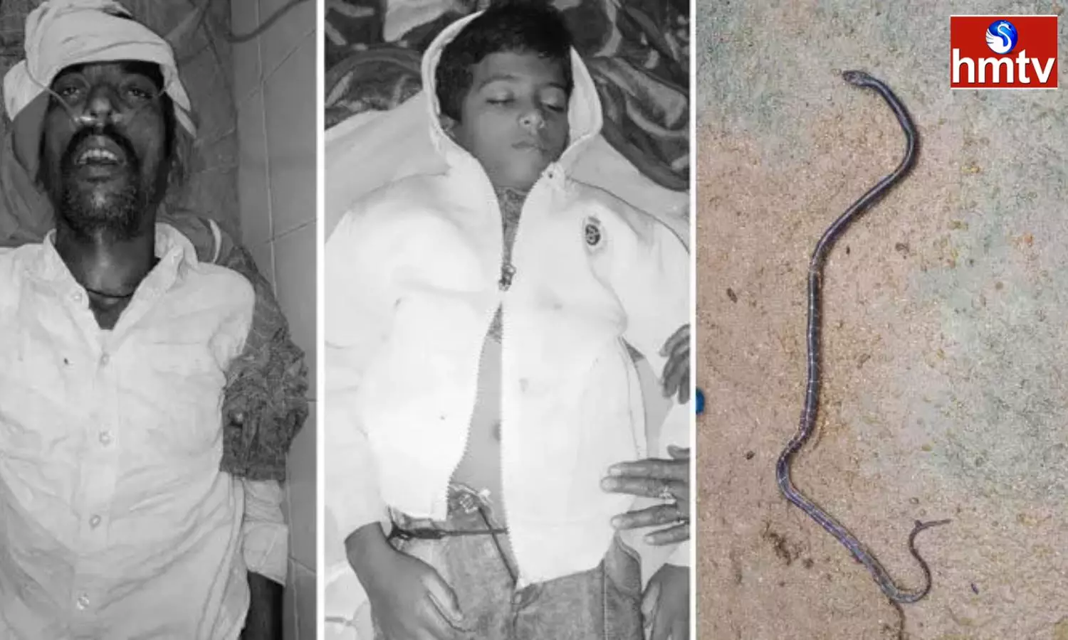 Snake Bites Father And Son In Kamareddy Snake Bites Father And Son In Kamareddy