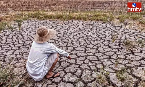 Farmers are suffering due to lack of rain In Vizianagaram