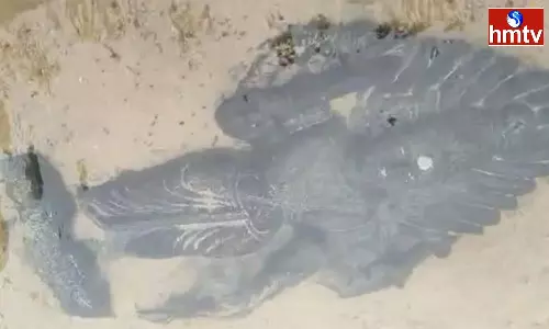 Ancient Idols Found In Ambadipudi Krishna River