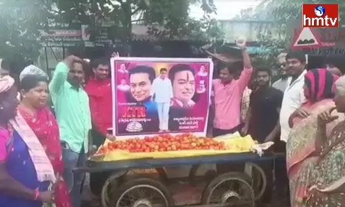 Distribution of Tomatoes During the Birthday Celebrations of Minister KTR Distribution of Tomatoes During the Birthday Celebrations of Minister KTR