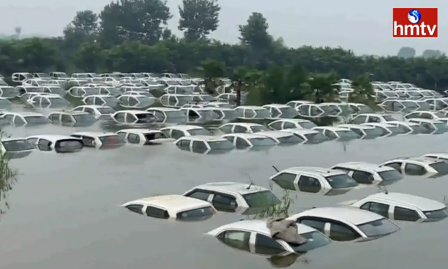 100 Cars submerged in water in Noida Due To Heavy Rain 100 Cars submerged in water in Noida Due To Heavy Rain