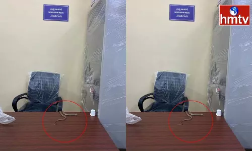 Man Releases Snake in GHMC Office Man Releases Snake in GHMC Office