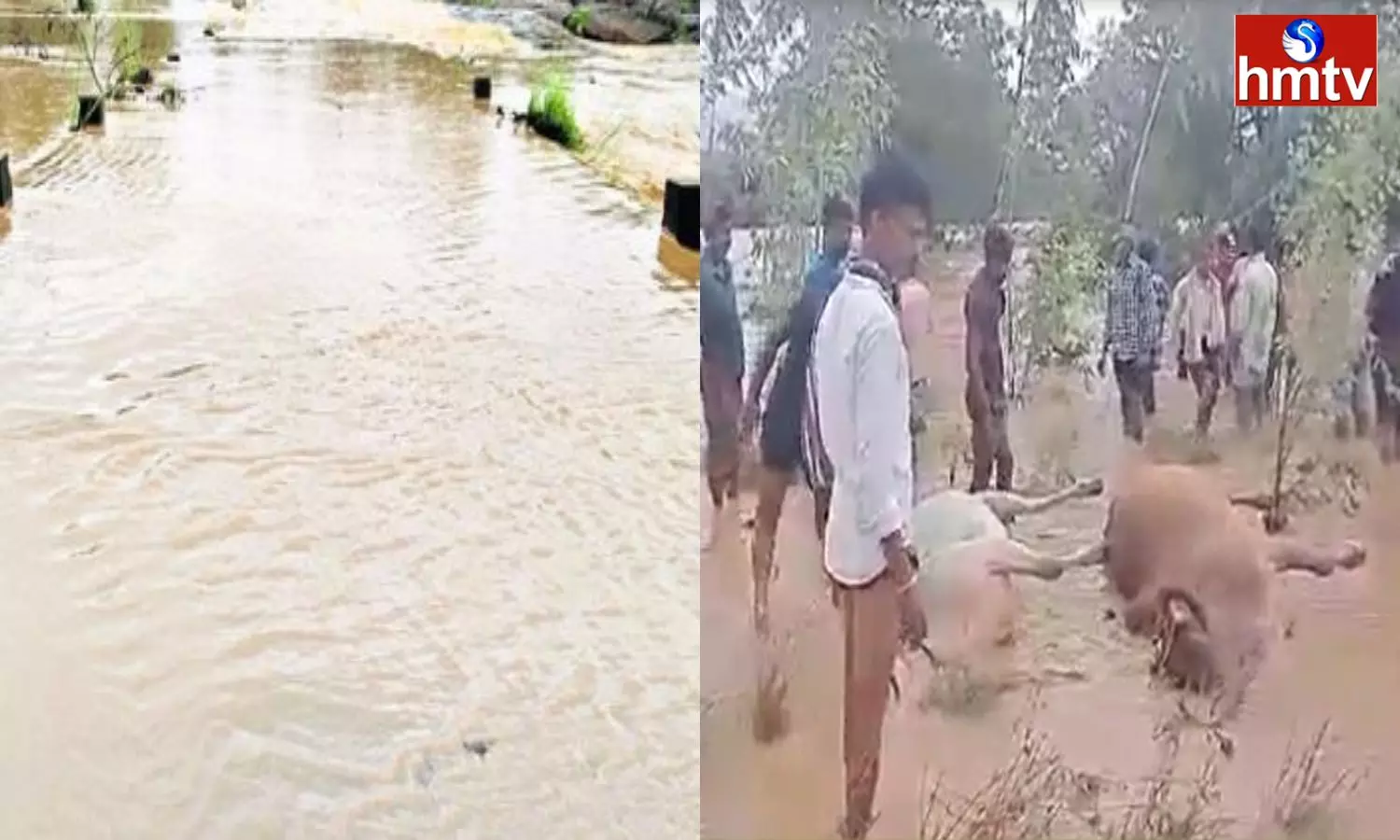 Kinnerasani stream is overflowing due to rains in Bhadradri Kothagudem District