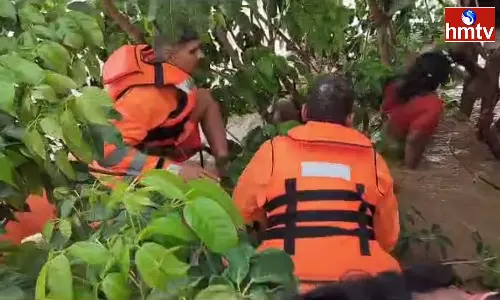Kondai Village In Flood Submersed At Mulugu