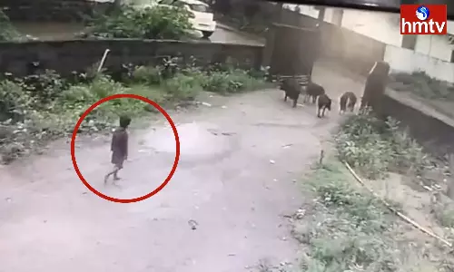 A Three Year Old Girl Is Missing In Karimnagar District