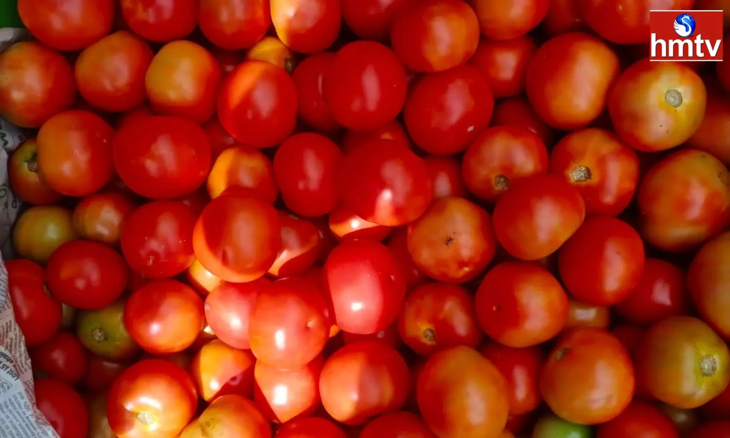 Tomato Thieves In Sadashivpet Of Sangareddy District