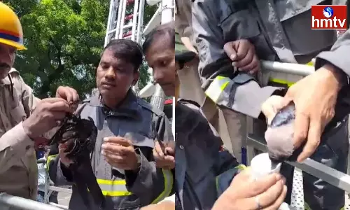 Fire Dept Team Rescues Crow Stuck on Treetop in Uttar Pradesh