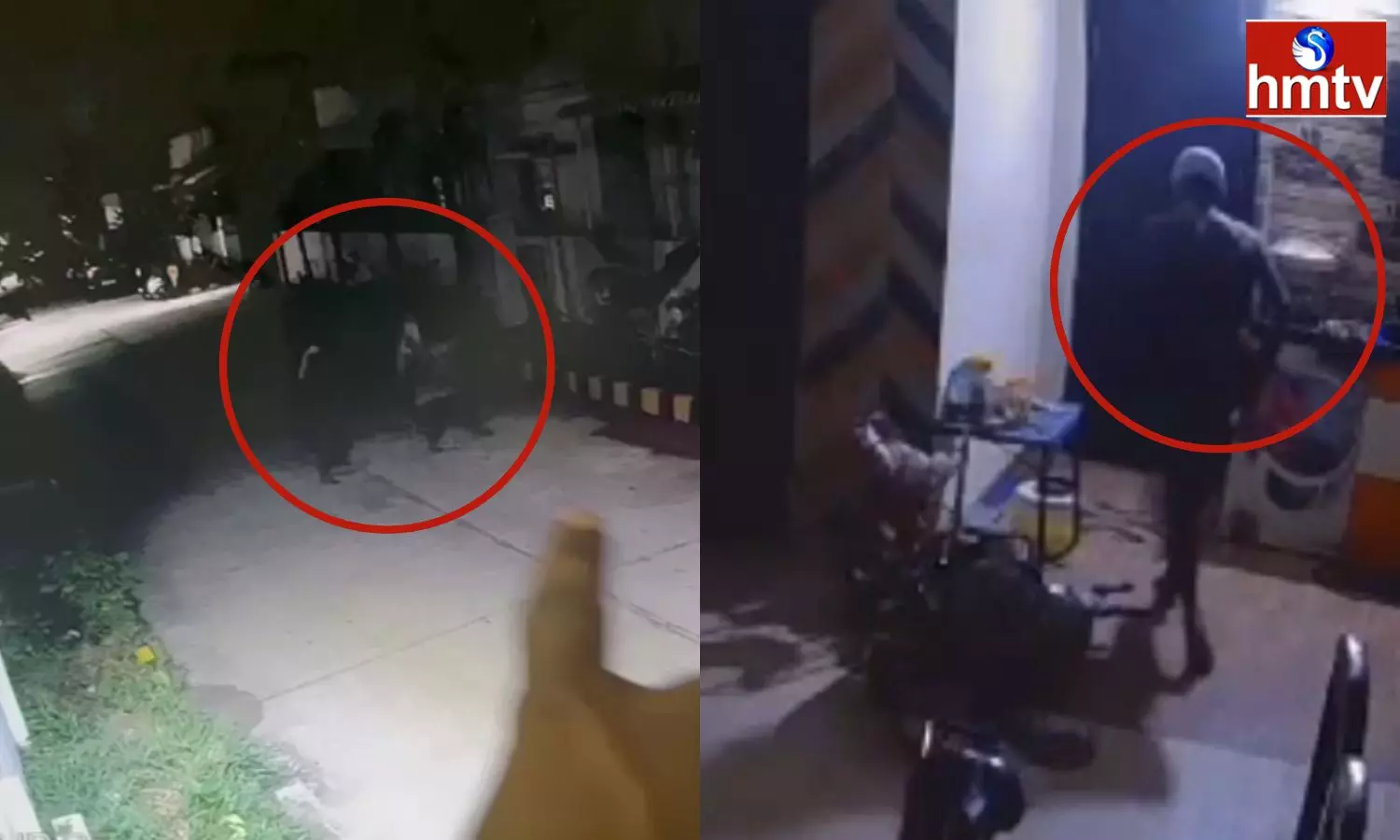 Cheddi Gang Hulchul In Gated Community Cheddi Gang Hulchul In Gated Community