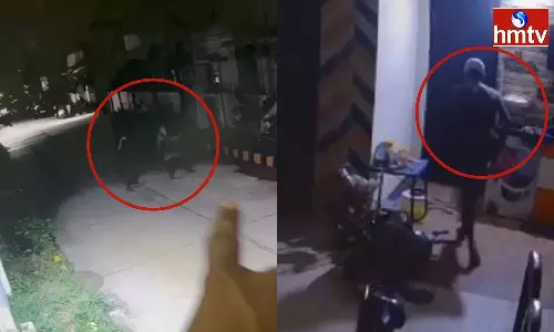 Cheddi Gang Hulchul In Gated Community