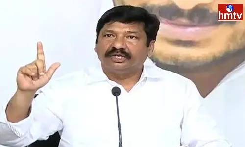 Jogi Ramesh Comments On Pawan Kalyan
