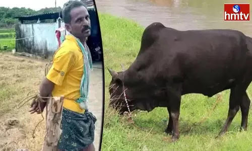 A Man Brutally Attacked A Farmer Mancherial A Man Brutally Attacked A Farmer Mancherial