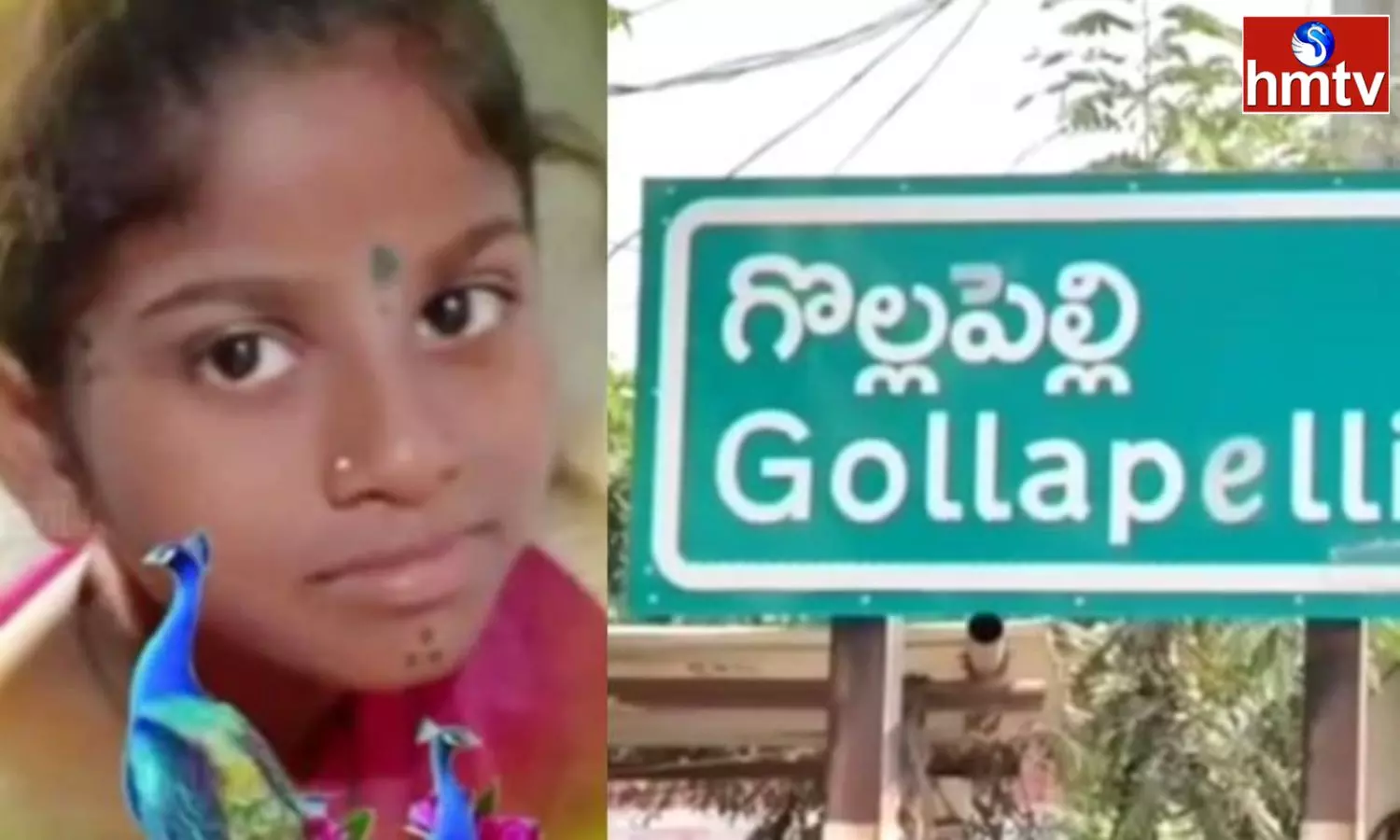 12 Year Old Girl Attacked And Killed By Stray Dog