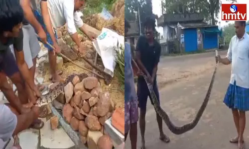 A Huge Python Entered The House In Bhadradri Kothagudem District