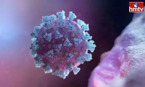 Will Corona Get A New Form For Our Country