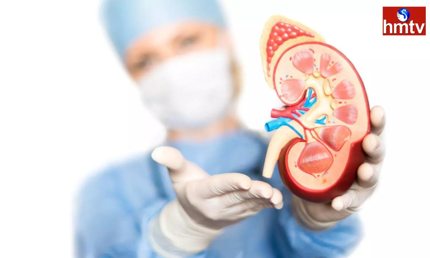 Recognize The Early Symptoms Of Kidney Disease Or Risk Losing Your Life