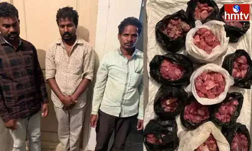 A Gang Selling Deer And Moose Meat Was Arrested