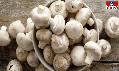 People With These Health Problems Should Not Eat Mushrooms Cant Avoid Damage People With These Health Problems Should Not Eat Mushrooms Cant Avoid Damage