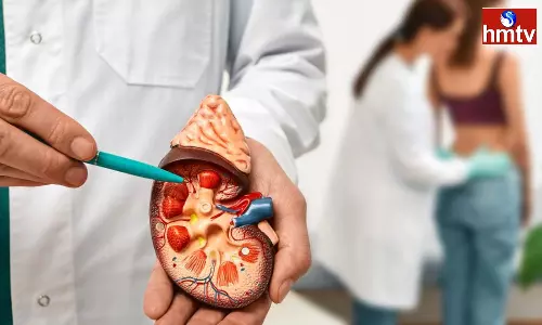 If These Symptoms Appear The Kidneys Are Weakened If These Symptoms Appear The Kidneys Are Weakened