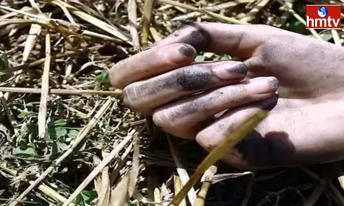 Suspicious Death Of 13 Year Old Girl In Prakasam District Suspicious Death Of 13 Year Old Girl In Prakasam District