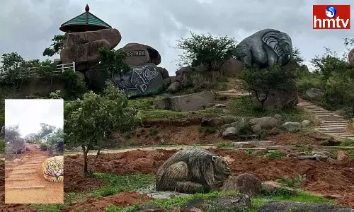 Manchirevula Forest Park to be thrown open today