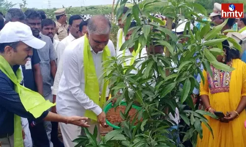 Harish Rao Planted Plants At Ranganayaka Sagar