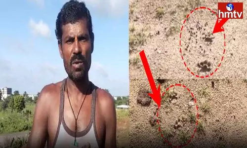 Leopard Movement In Nirmal Locals In Panic