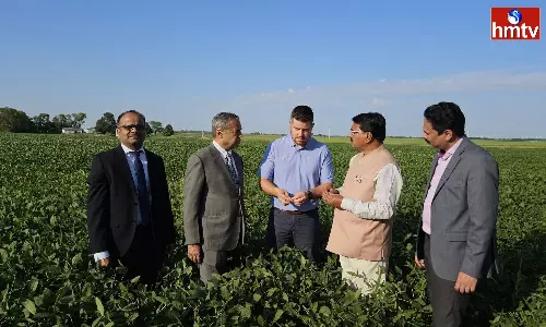 Agriculture Should Flourish As An Industry Agriculture Should Flourish As An Industry