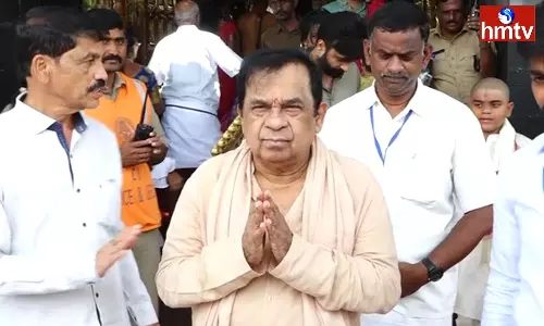 Actor Brahmanandam In Tirumala Srivari Seva Actor Brahmanandam In Tirumala Srivari Seva