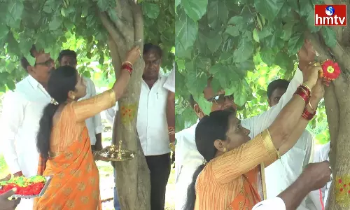Environmental Lovers Cutting Rakhis On Trees In Mahabubabad District Environmental Lovers Cutting Rakhis On Trees In Mahabubabad District