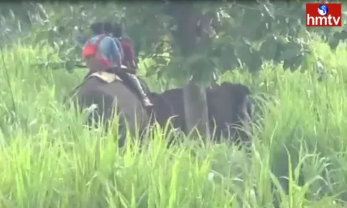 Operation Gajaraju Was A Success In Chittoor District Operation Gajaraju Was A Success In Chittoor District