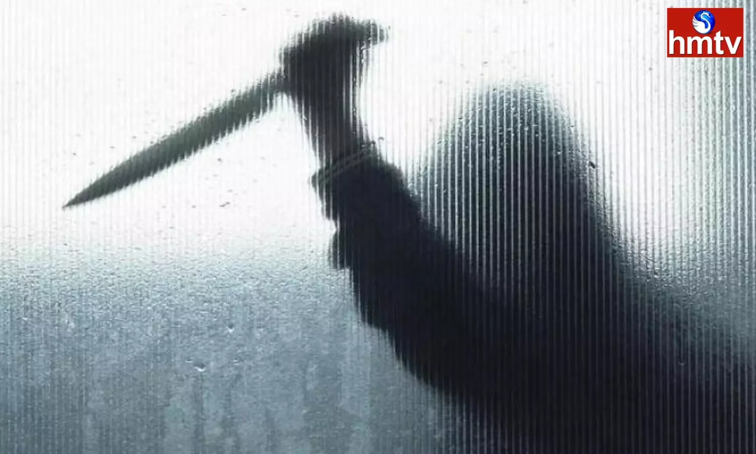 An Unknown Man Enters The Home Attack Sister And Brother With A Knife An Unknown Man Enters The Home Attack Sister And Brother With A Knife