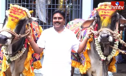 Donation of Two Bulls to the Temple of Srikalahasteeswara Temple Tirumala district Donation of Two Bulls to the Temple of Srikalahasteeswara Temple Tirumala district