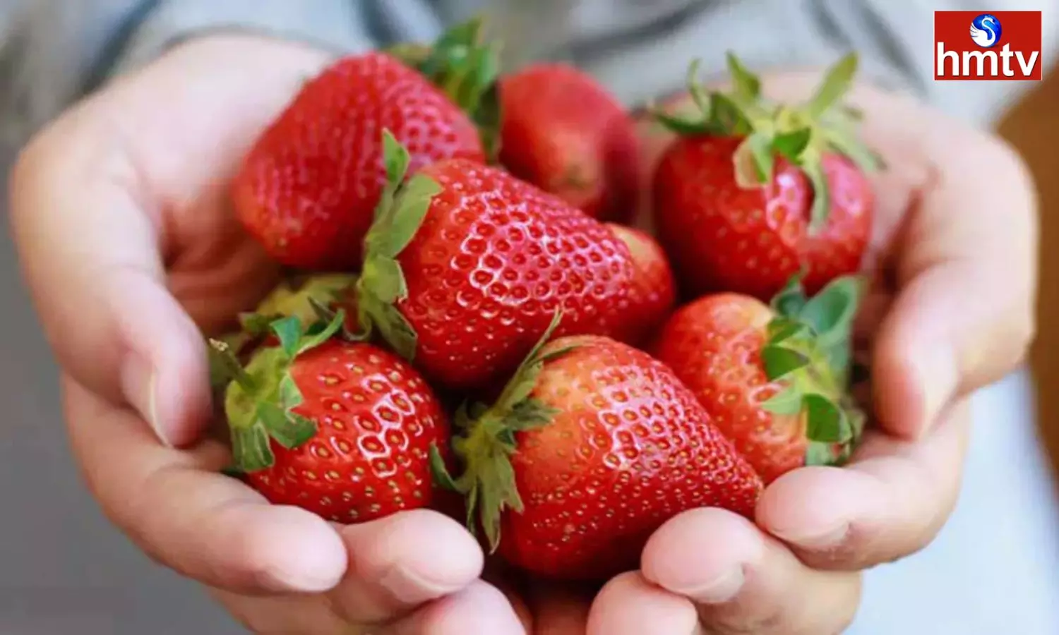 Nutrients Are Abundant In Strawberries These Benefits Are Provided To The Body